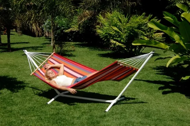 Latina Set by Jobek - Germany JO-50515-OLD color multicolor