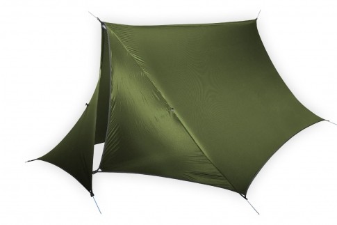 Housefly lichen by ENO EN-HF002 color verde